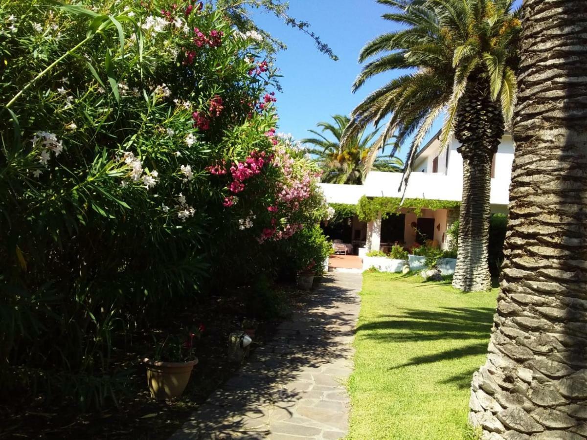 Le Palme Apartment Capoliveri  Exterior photo