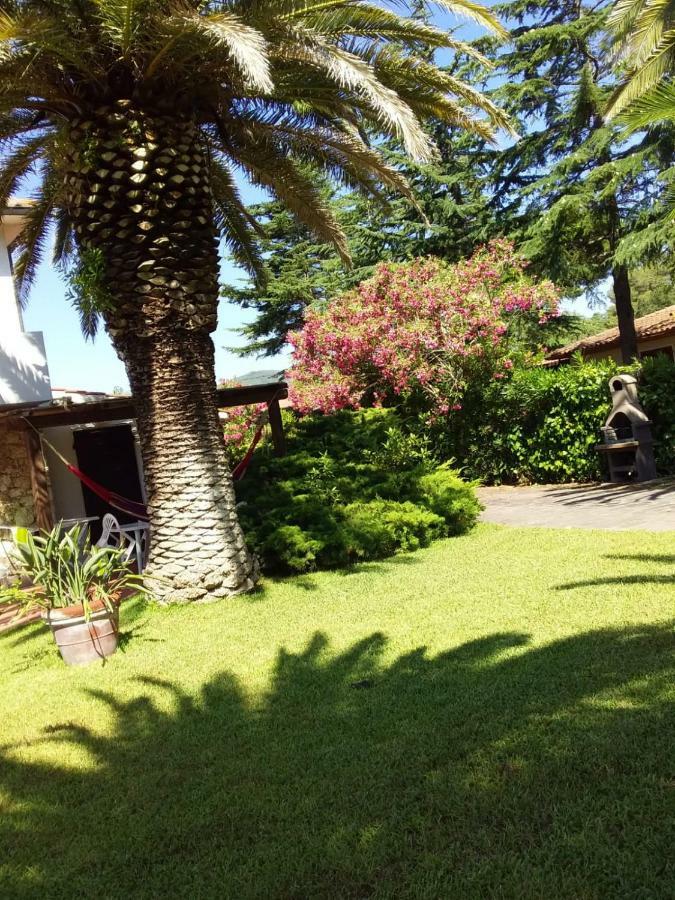 Le Palme Apartment Capoliveri  Exterior photo