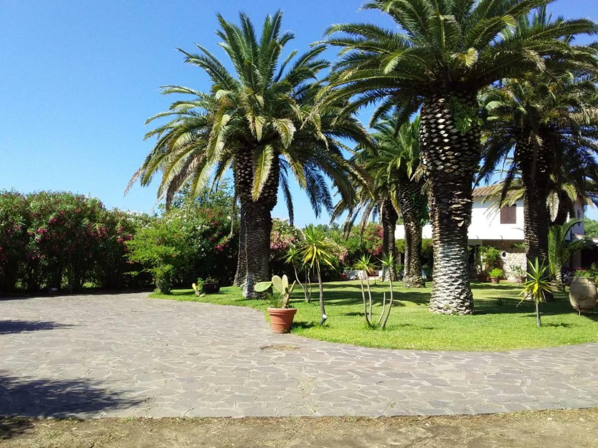 Le Palme Apartment Capoliveri  Exterior photo