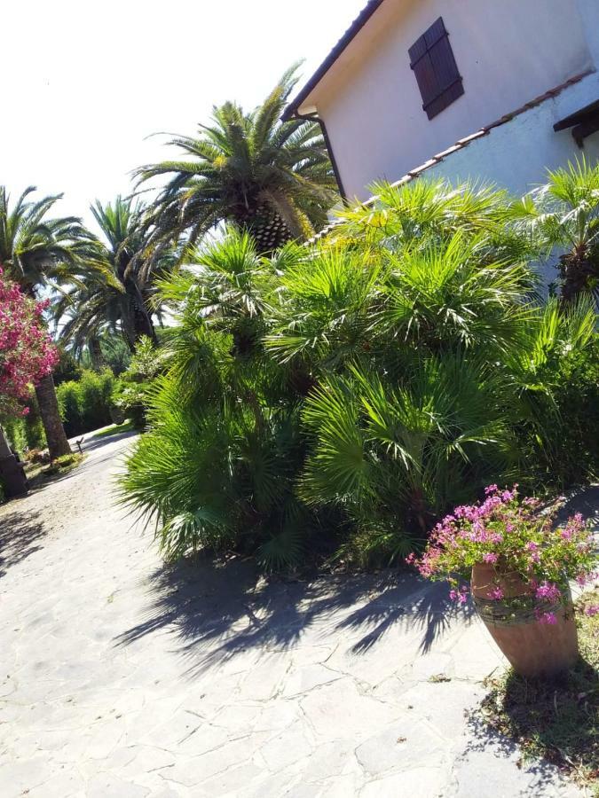 Le Palme Apartment Capoliveri  Exterior photo
