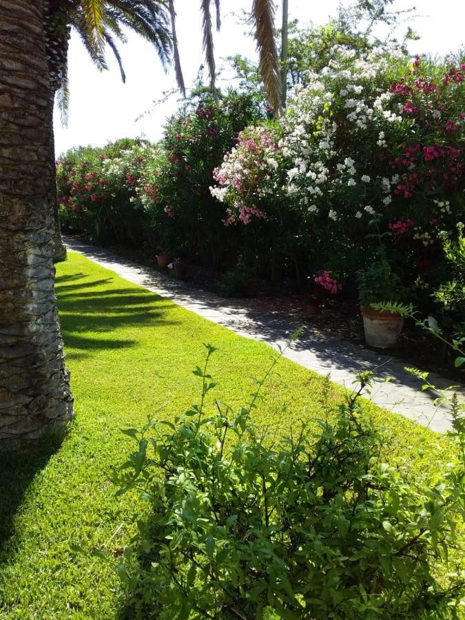 Le Palme Apartment Capoliveri  Exterior photo